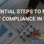 Essential Steps to Master VAT Compliance in UAE