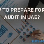 How to Prepare for an Audit in UAE