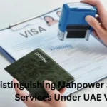 Distinguishing Manpower and Visa Services Under UAE VAT