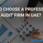 How to Choose a Professional Audit Firm in UAE?